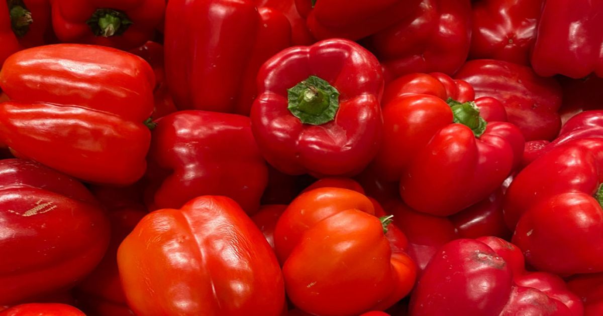 যে সবজি রোগ প্রতিরোধ ক্ষমতা বাড়াতে পারে বেশি