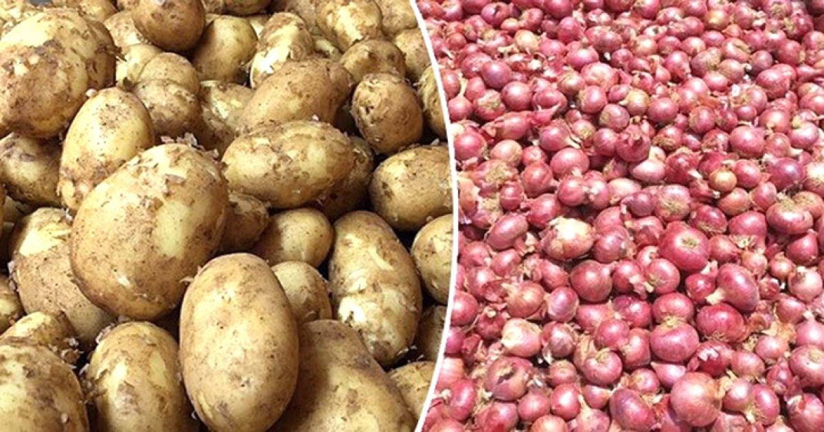 সপ্তাহ ব্যবধানে কমলো আলু-পেঁয়াজের দাম