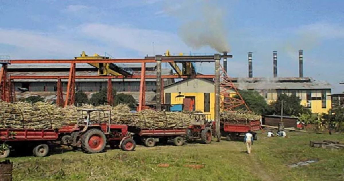 সরকারি চিনিকলে জাপান ও থাইল্যান্ডের আগ্রহ