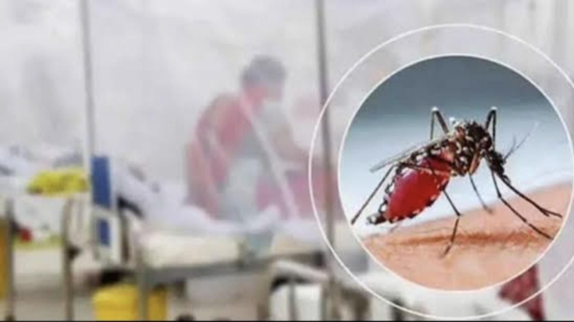 ডেঙ্গু সামাল দিতে সব হাসপাতালে শয্যা বাড়ানোর নির্দেশ